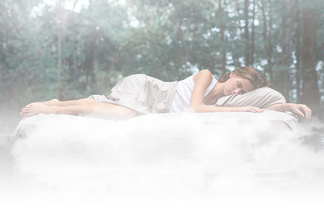 Dream Enjoy Series